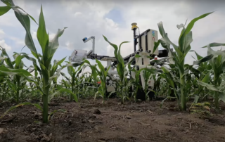 Robot driving in corn fields